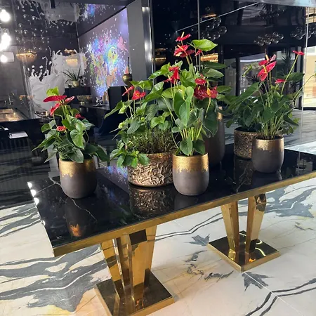 In Complex 5 Stele Langa Plaja * Нэводари